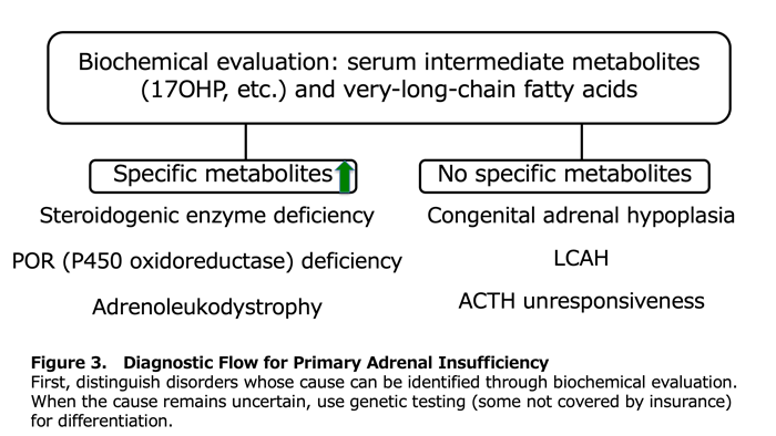 Figure 3. Diagnostic Flow for Primary Adrenal Insufficiency