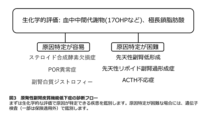 図3 原発性副腎皮質機能低下症の診断フロー