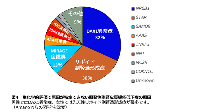 図4 生化学的評価で原因が特定できない原発性副腎皮質機能低下症の原因