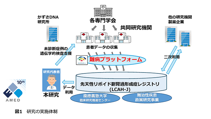 図1 研究の実施体制